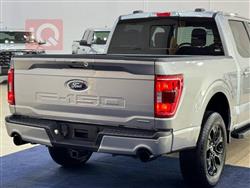 فورد إف-150